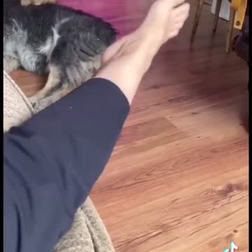 Another Adverse Event.