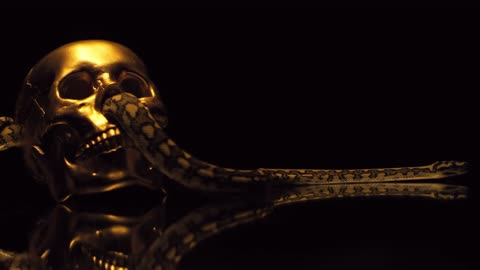 A snake and a gold skull