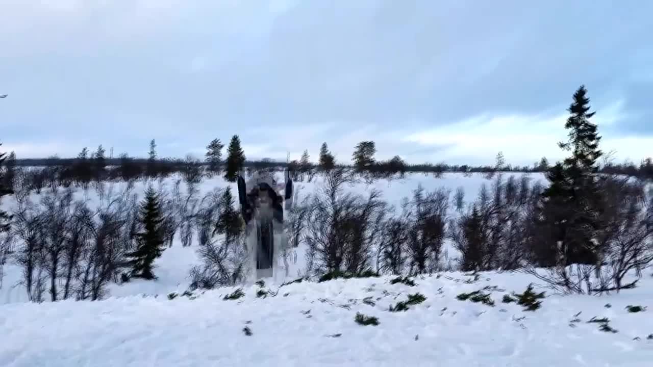 Swedish Viking Backflip ep.1