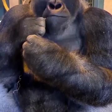 That's one way to eat a banana! 😂