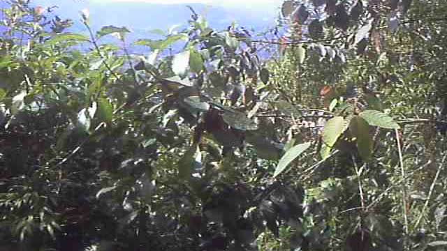 Trail Splits wire propeerty line fence Pan de Azucar