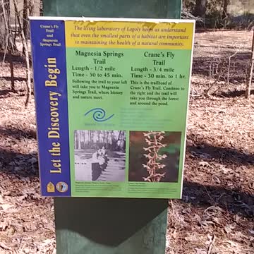 At the lake at Logoly State Park