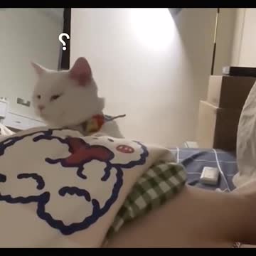 What’s that strange smell?