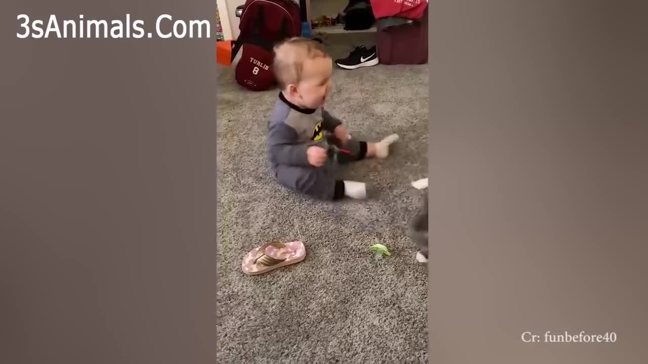 Babies and Puppies are the most beautiful things to watch!