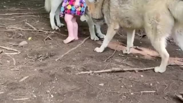 baby and pets