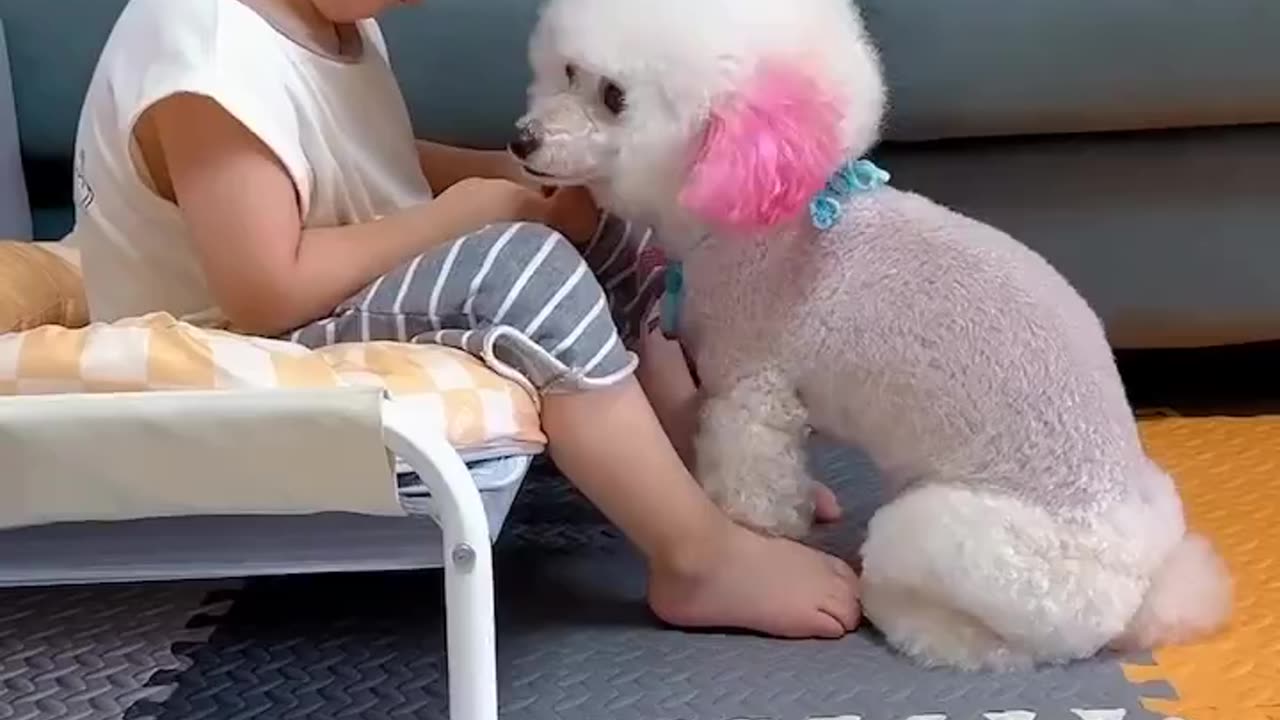 Dog Comforts Boy