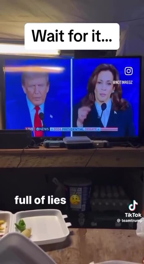 INSTANT fact checkers (overseas)