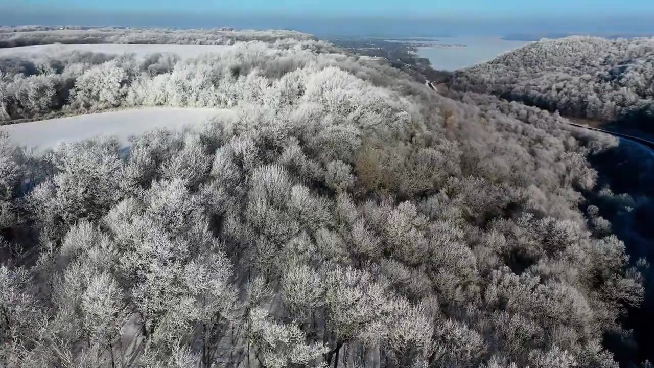 Sounds of the winter forest. Winter. Sounds of wildlife