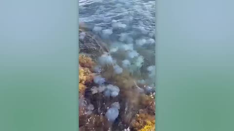 Incredible Moments Caught on Camera