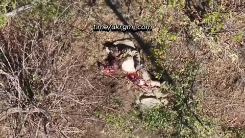 War in ukraine Donbass