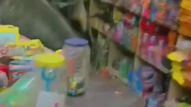 Two cows quarrel inside a shop