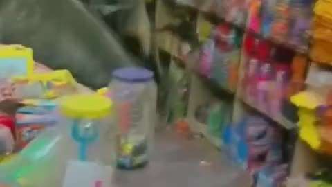 Two cows quarrel inside a shop