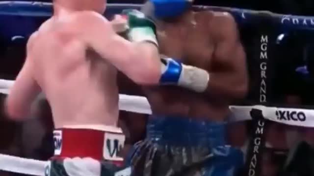 Floyd Mayweather vs Canelo Alvarez