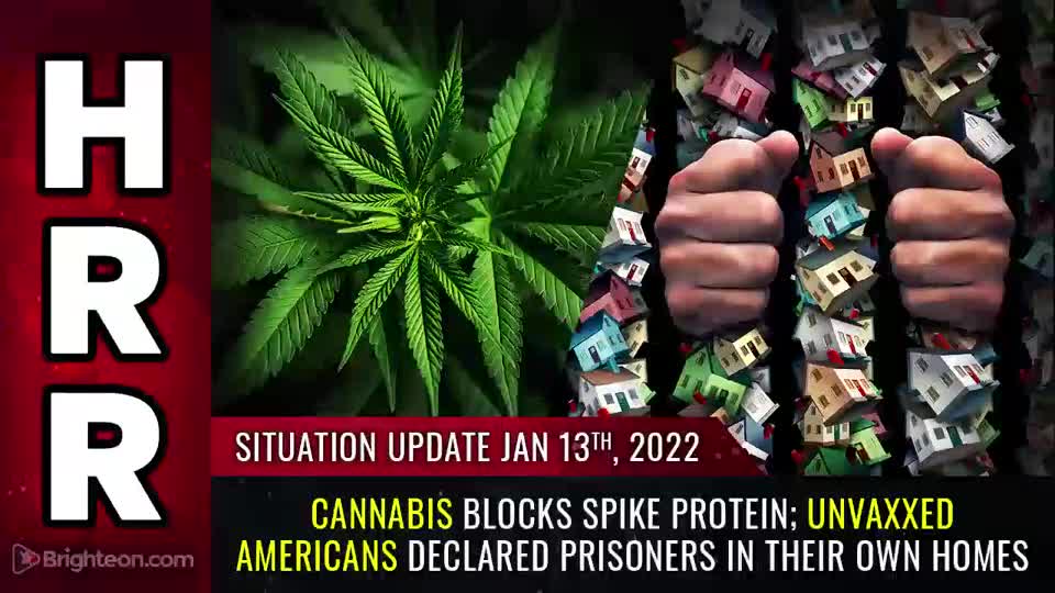 01-13-22 - Cannabis Blocks SPIKE PROTEIN Unvaxxed Americans Declared PRISONERS in their Own Homes