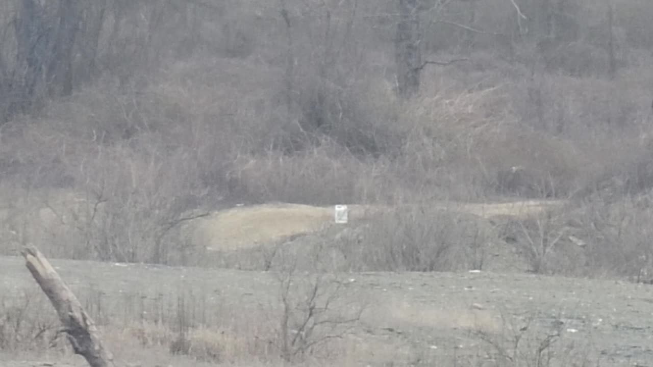 Wifey taking out a Jug with 50bmg