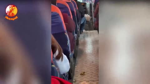 Funny moments in peoples lifes😂 Fails, Pranks 2023