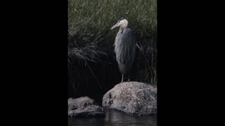 Photo Excursion 8-5-2021
