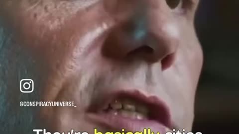 What do you think? Reptilian?