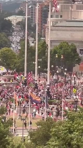 🚨WOW: Radical protesters have taken down the U.S. flag in front of Union Station