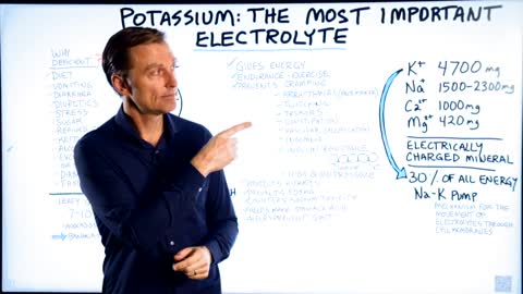 DrBerg-POTASSIUM The Most Important Electrolyte In Your Body