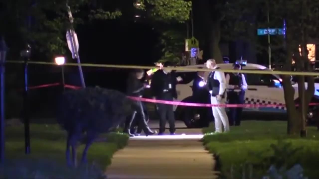 Fallen Chicago officers Lasso, Preston honored at star ceremony