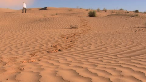 Desert magic
