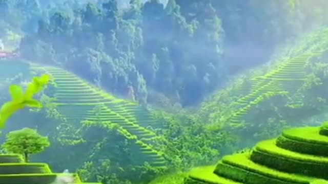 Nature is also available in worlds