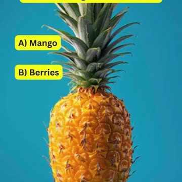 Protein Smoothie Quiz 🥤💪