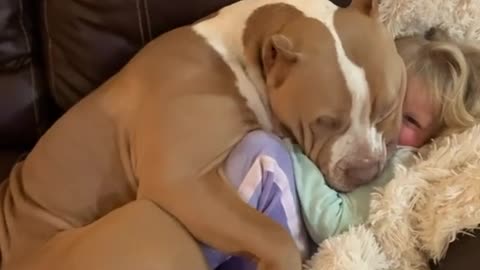 Funny Kids and Animals #2