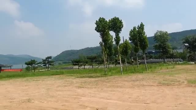 Several trees stand in the square
