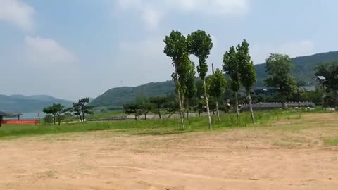 Several trees stand in the square