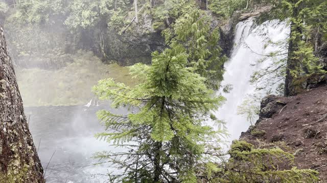 Side View of Beautiful 64 FT Koosah Falls – Sahalie Falls & Koosah Falls Loop – Central Oregon – 4K