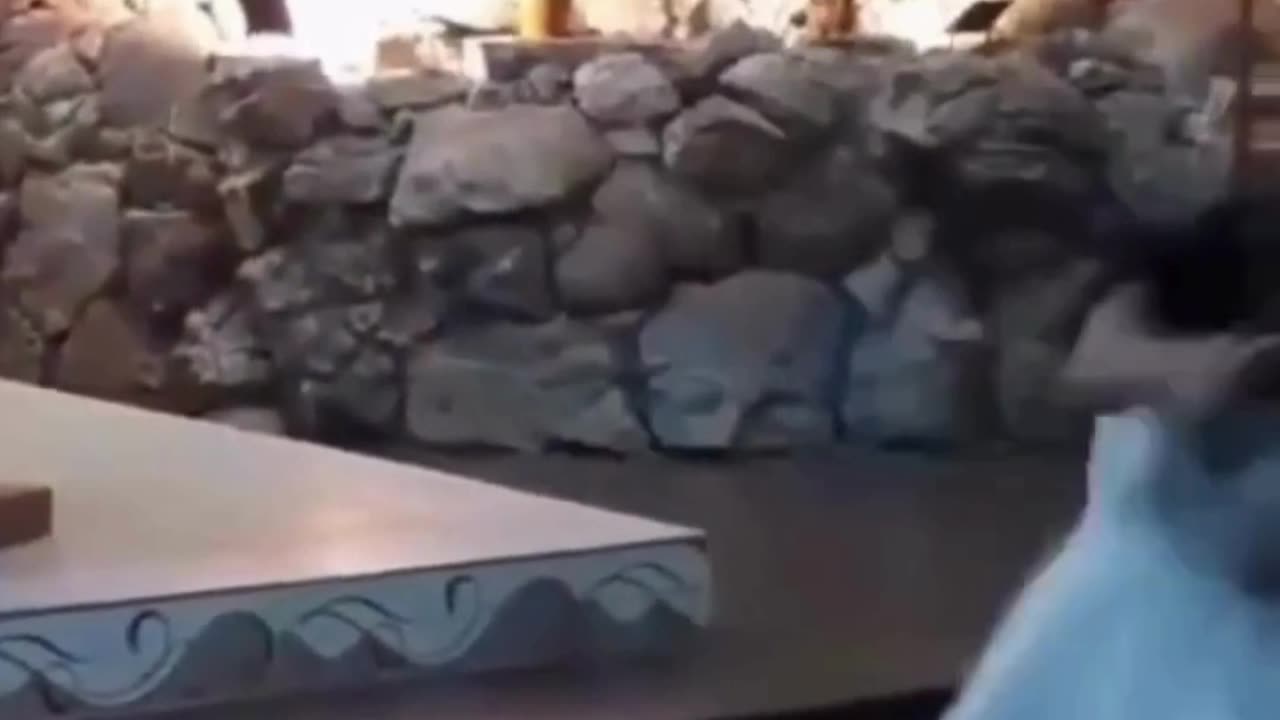The End 😂😂😂 #viral #shorts #reels #funny #fails