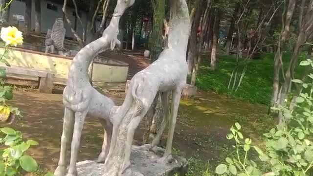 pen deer in