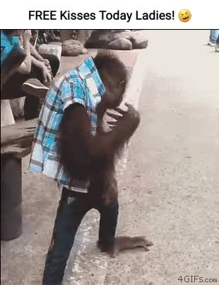 Free kiss every day ladies