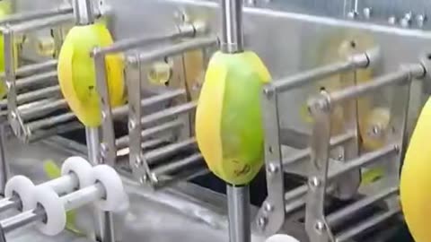 Mango Machine