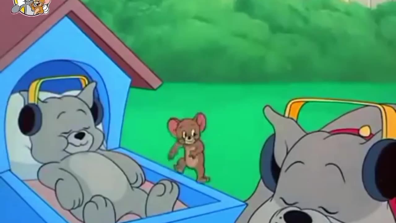 Tom and jerry