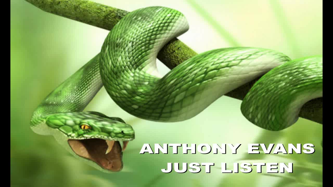 Anthony Evans just listen