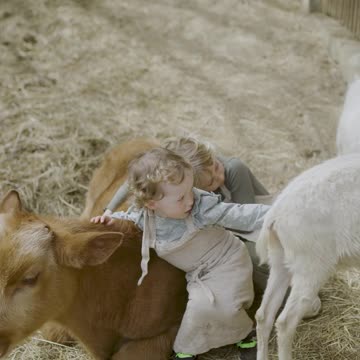 Unlikely Friends Embrace at Animal Sanctuary