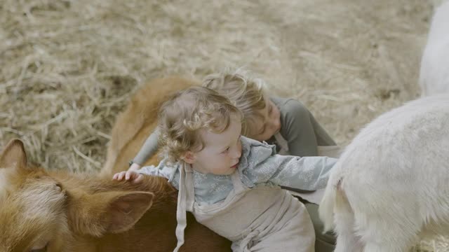Unlikely Friends Embrace at Animal Sanctuary