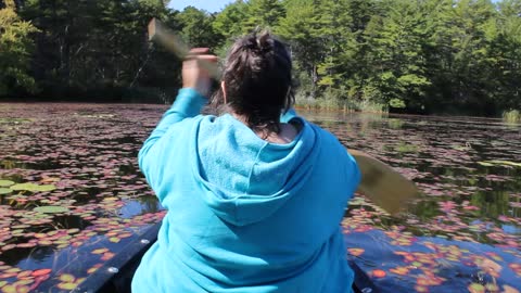 canoeing on the lake, on a nice mask free day.