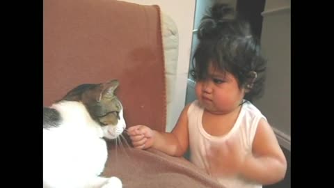 Baby touching cat - cute moment