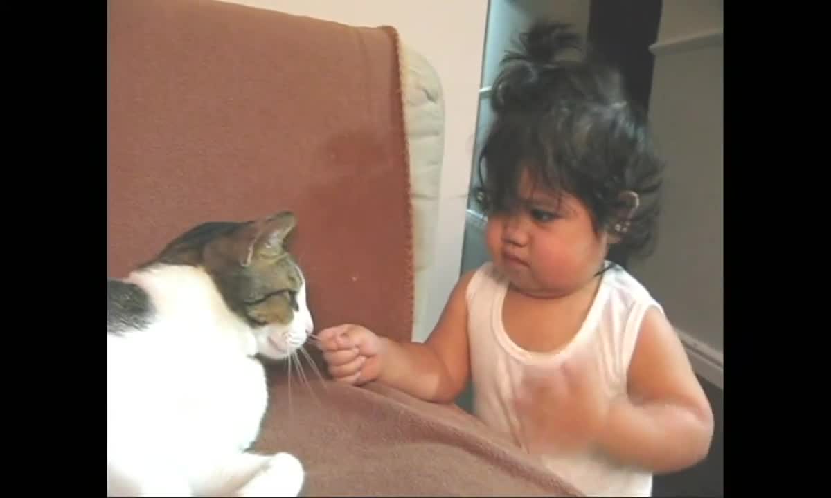 Baby touching cat - cute moment