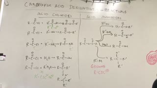 Acid Chlorides and Anhydride Reactions