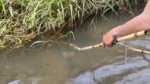 cari ikan di pinggiran kebun dapat banyak babon-19