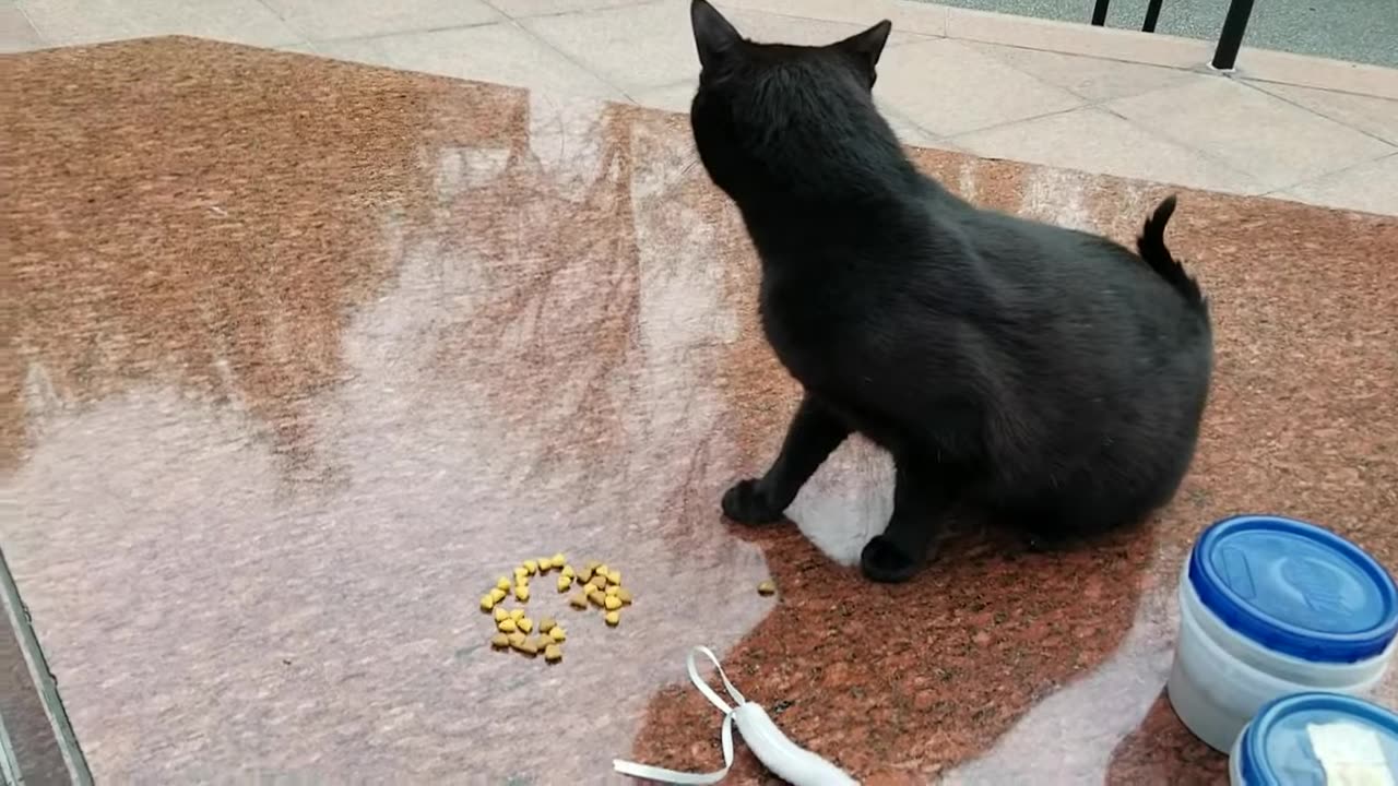 20240423 071041 Tux Crunching