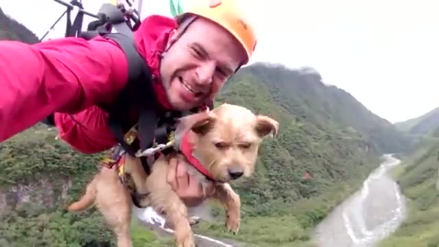 Man Carrying His Going Down the Zipline in Ecuador l