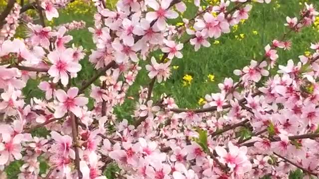 The beauty of life is that. . . .