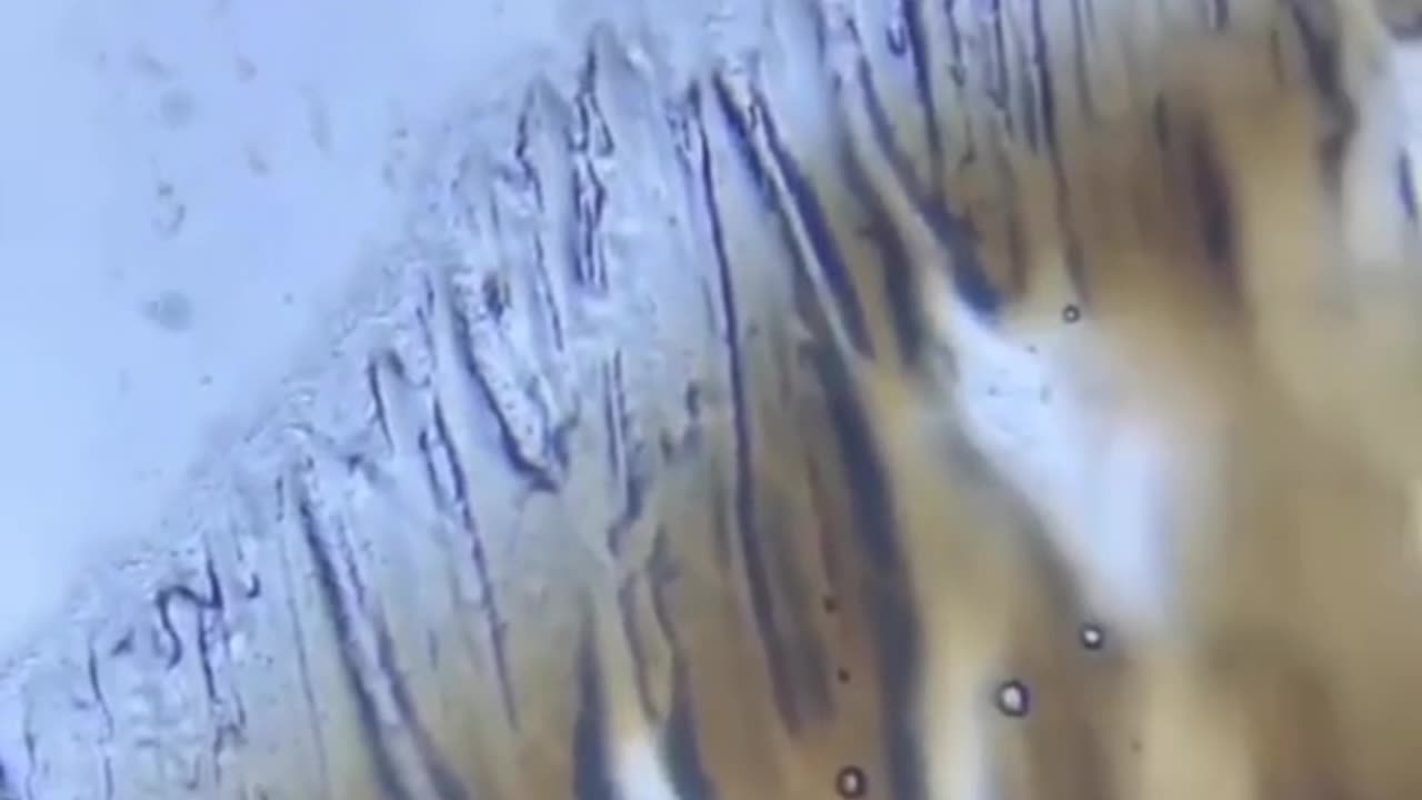 How much is a picture 😹 to be home by the time you get