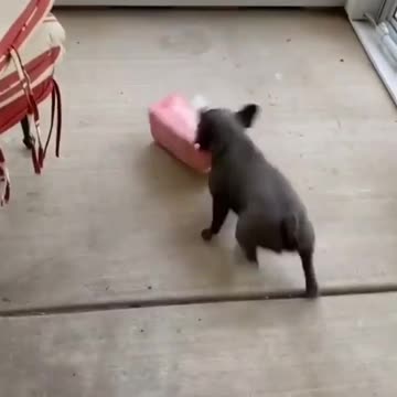 Another day another box 📦